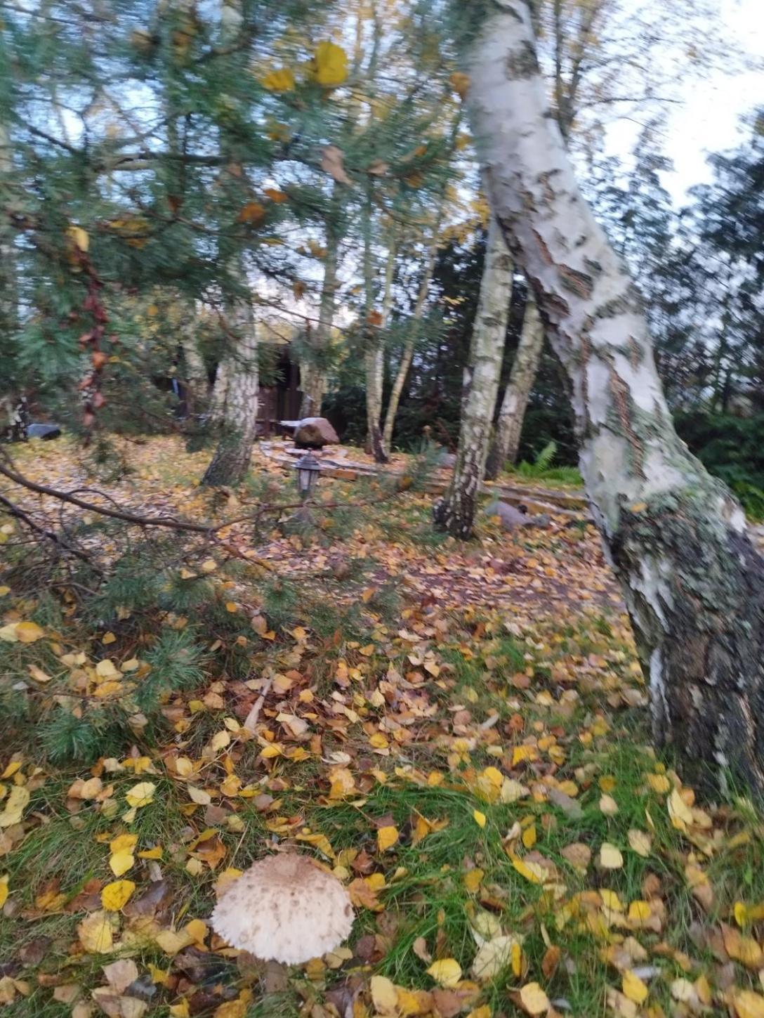 Holiday home Blisko Granicy U Darka *